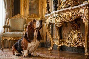 Barock Möbel: Opulente Eleganz & Geschichte